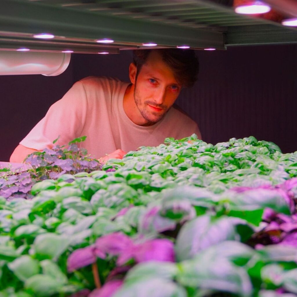 Nicolò Menini posa dietro ad alcune piantine ottenute con il metodo del vertical farming